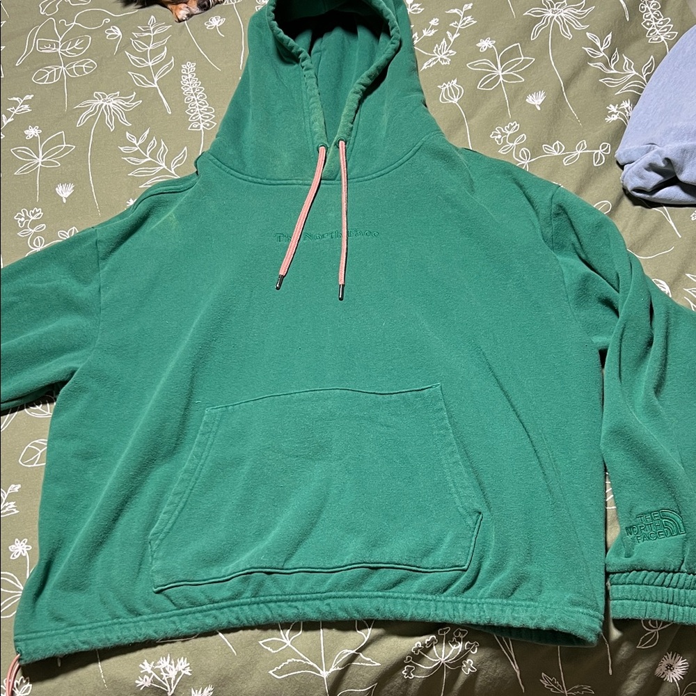 The North Face Green Hoodie with Pink Drawstrings
